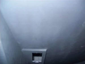 1000975.webp